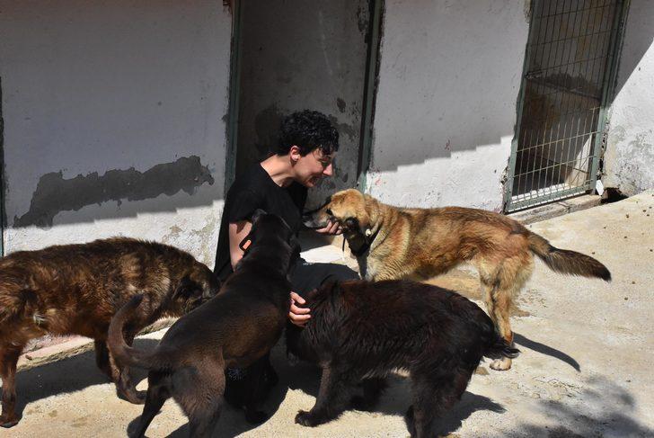 Can Bonomo'nun ablası evini barınağa çevirdi! 165 köpek ve 5 kedi ile yaşıyor G3