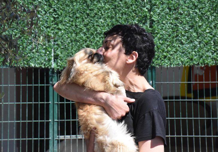Can Bonomo'nun ablası evini barınağa çevirdi! 165 köpek ve 5 kedi ile yaşıyor G2