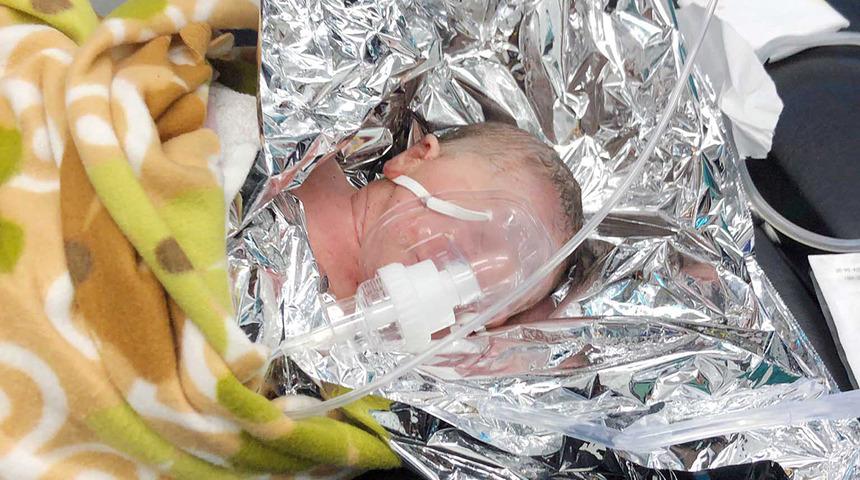 Sokakta bulunan bebek yürekleri sızlatmıştı! Annesi bulundu