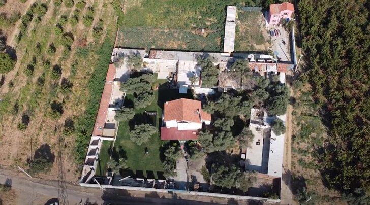 Can Bonomo'nun ablası evini barınağa çevirdi! 165 köpek ve 5 kedi ile yaşıyor G4