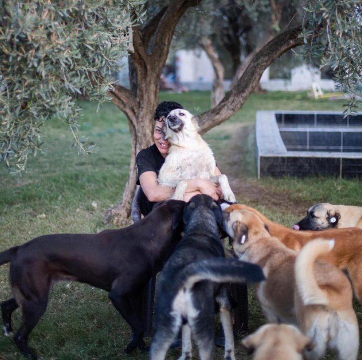 Can Bonomo'nun ablası evini barınağa çevirdi! 165 köpek ve 5 kedi ile yaşıyor G1