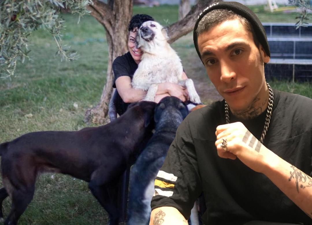 Can Bonomo'nun ablası evini barınağa &ccedil;evirdi! 165 k&ouml;pek ve 5 kedi ile yaşıyor