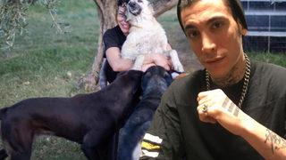 Can Bonomo'nun ablası evini barınağa çevirdi! 165 köpek ve 5 kedi ile yaşıyor