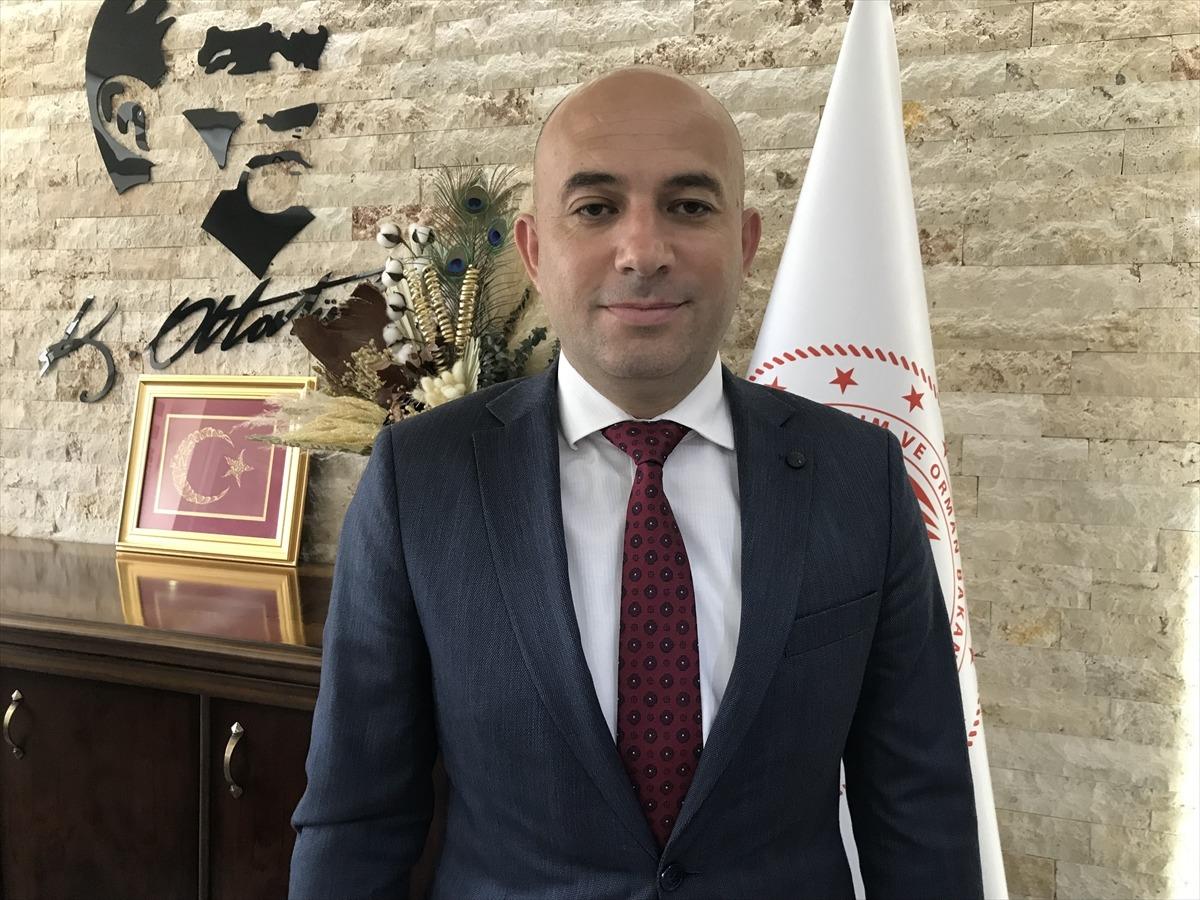 Antalya'da &ouml;rt&uuml; altı &uuml;retimi karpuz ihracatından 2 haftada 1,5 milyon dolar gelir