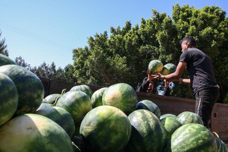 Antalya'da örtü altı üretimi karpuz ihracatından 2 haftada 1,5 milyon dolar gelir G2
