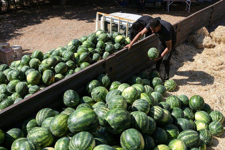 Antalya'da örtü altı üretimi karpuz ihracatından 2 haftada 1,5 milyon dolar gelir G4