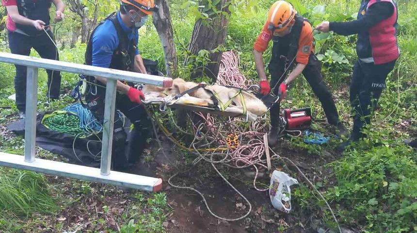 AFAD ekipleri seferber oldu! 10 metre derinlikten kurtarıldılar