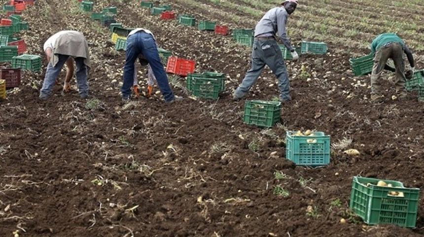 Göçmenlerin İtalya'ya katkısı: 8 milyar euro