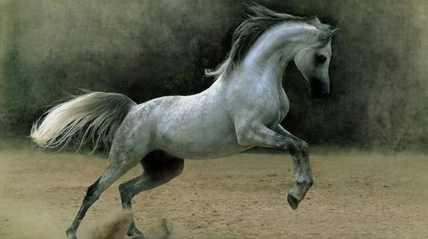 R&uuml;ya tabirlerinde İslami uygun yorumları nereden bulabilirim?