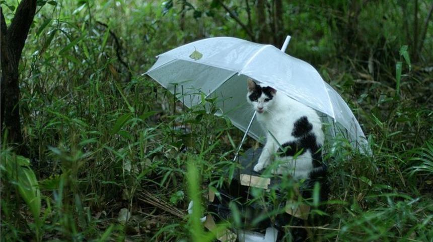 Hava durumu nasıl olacak?