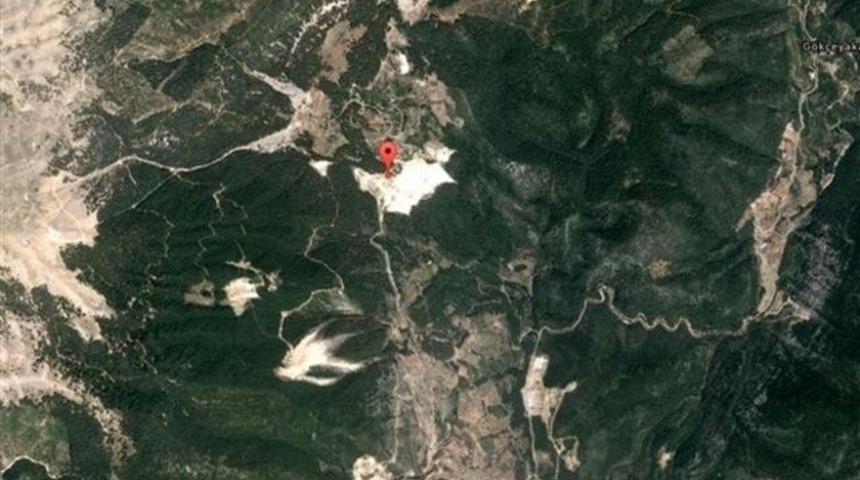 Antalya'da 5 bin ağaç tehlike altında