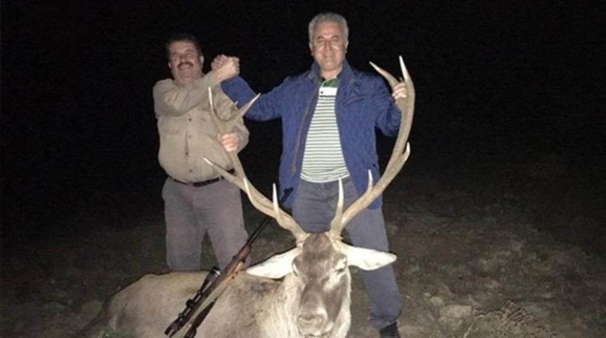 Soyu tükenmekte olan geyiği vurdu: Vurmasaydım param yanacaktı