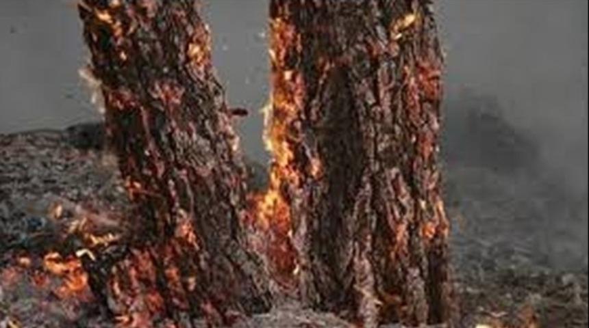 Kahramanmaraş'ta keşif uçağı düştü