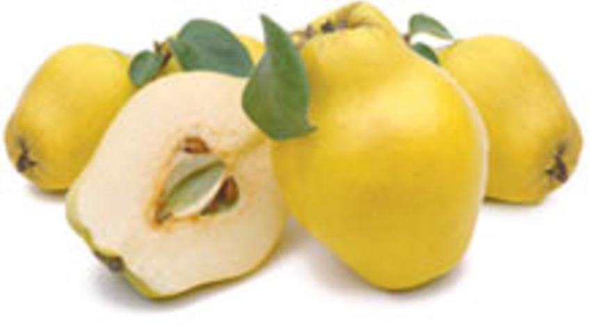 Gribe Yakalananlar Bol Ayva Yiyin