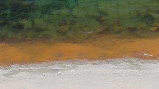 Karadeniz'de teyakkuza geçiren görüntü! Hemen numune aldılar...