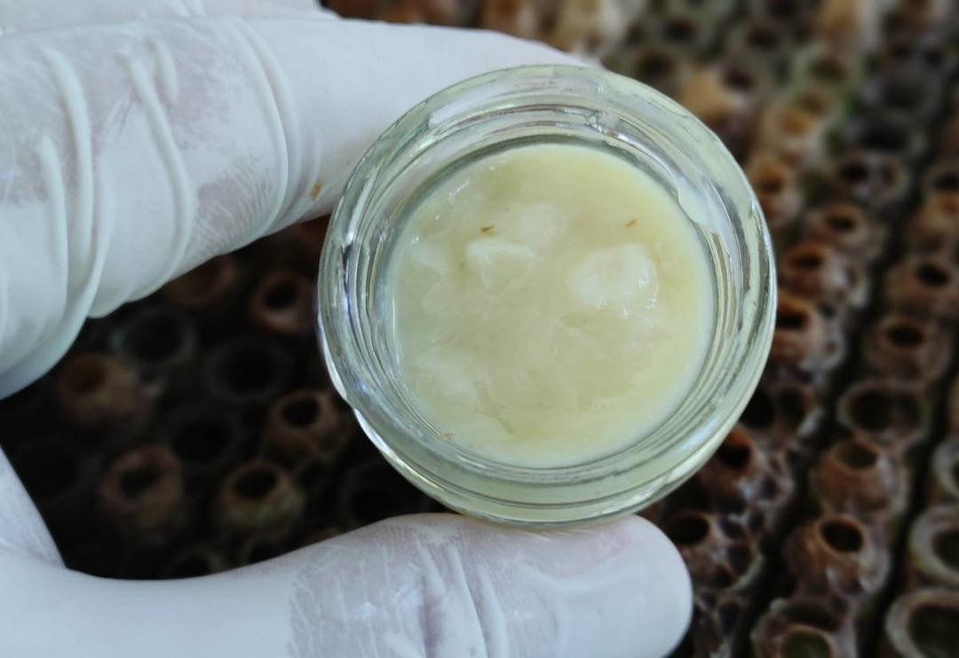 Bildiğiniz b&uuml;t&uuml;n s&uuml;t fiyatlarını unutun! Bunun kilosu tam 10 bin lira... 