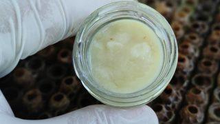 Bildiğiniz bütün süt fiyatlarını unutun! Bunun kilosu tam 10 bin lira... 