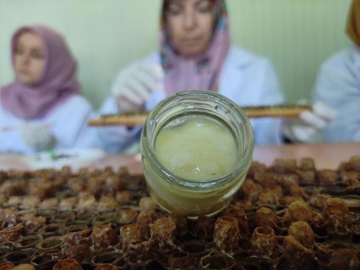 Bildiğiniz bütün süt fiyatlarını unutun! Bunun kilosu tam 10 bin lira...  G1