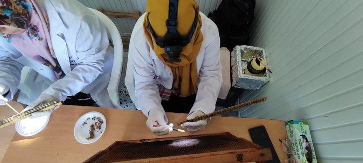 Bildiğiniz bütün süt fiyatlarını unutun! Bunun kilosu tam 10 bin lira...  G3