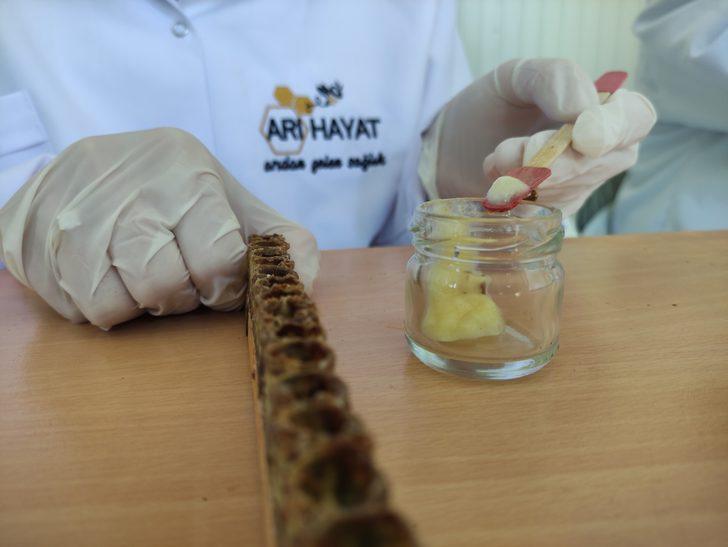 Bildiğiniz bütün süt fiyatlarını unutun! Bunun kilosu tam 10 bin lira...  G5