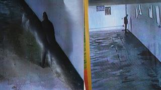 Yer Rize! Alt geçide kamera koyup tek tek incelediler, yapılanlar şaşkına çevirdi: Tüm görüntüleriniz elimizde 