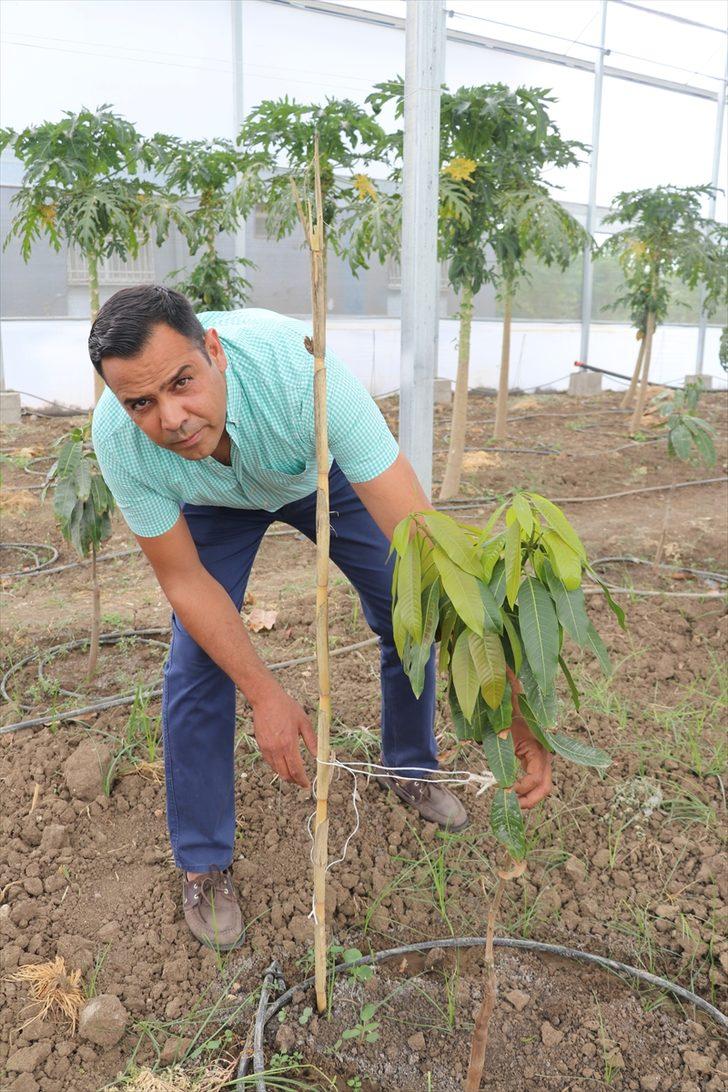 15 yıllık aşçı mesleğini bırakıp devlet desteğiyle çiftçi oldu G2