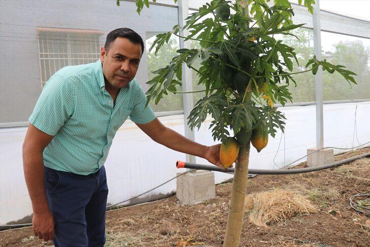15 yıllık aşçı mesleğini bırakıp devlet desteğiyle çiftçi oldu G3