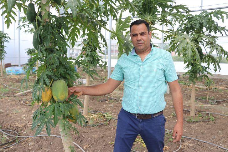 15 yıllık aşçı mesleğini bırakıp devlet desteğiyle çiftçi oldu G5