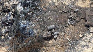 PKK, muhtarı diri diri yaktı