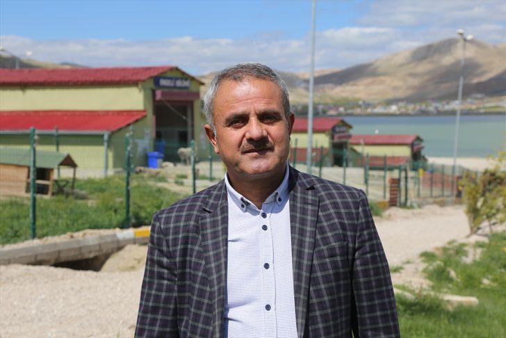 Van'da 45'i pitbull 66 saldırgan köpek koruma altına alındı G1