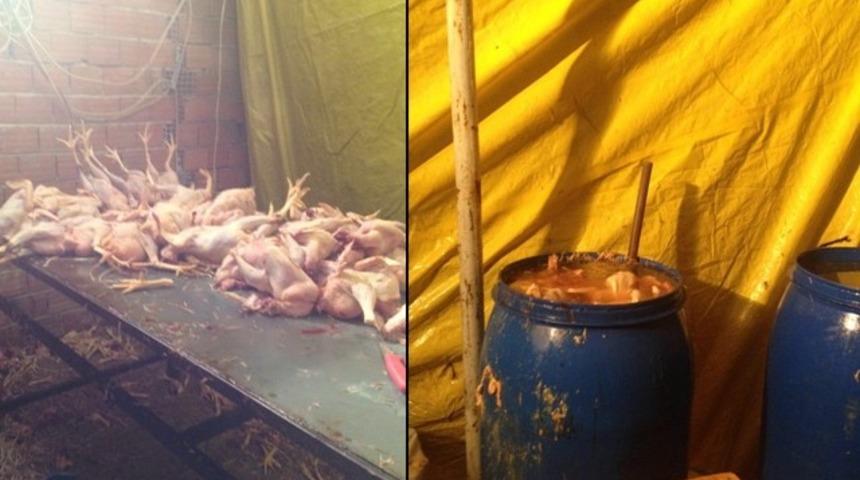 Sağlıksız koşullarda kesim yapılan tavukları halka yedireceklerdi