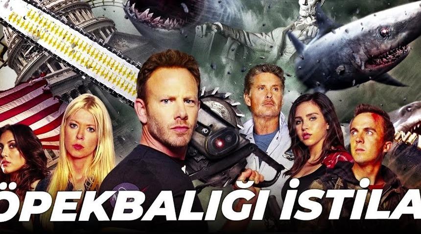 Köpek Balığı İstilası konusu nedir? Köpek Balığı İstilası filminin oyuncuları kimler? Ne zaman çekildi?