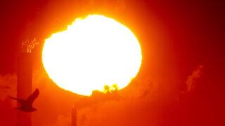 Pakistan'da termometreler 51 dereceyi gösterdi: 3 kişi öldü