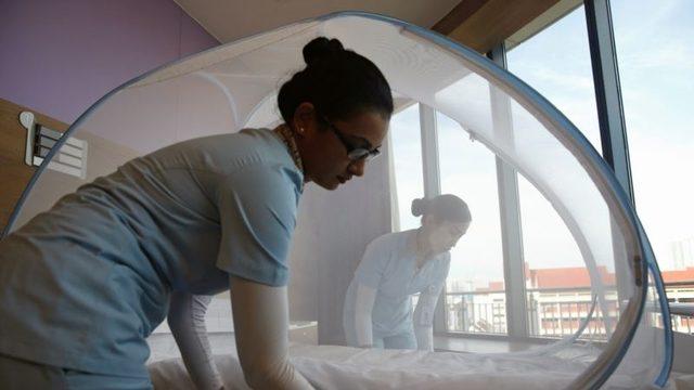 Zika virüsü gözyaşında bile yaşayabiliyor