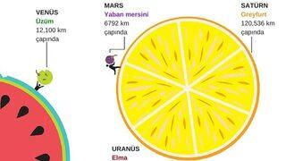 Gezegenler meyve olsaydı nasıl gözükürlerdi?