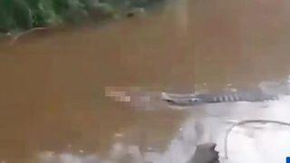 Balık tutmak isterken canından oldu! Talihsiz balıkçıya nehirden fırlayan timsah saldırdı