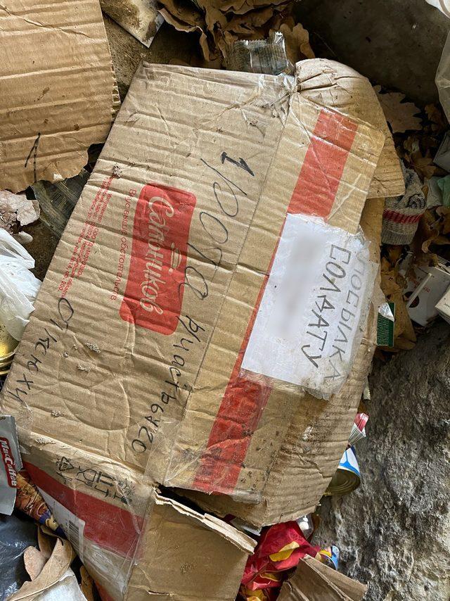 Ukrayna da y&uuml;zlerce kişinin infaz edildiği bir su&ccedil; mahalline d&ouml;n&uuml;şen &ccedil;ocuk kampı 7