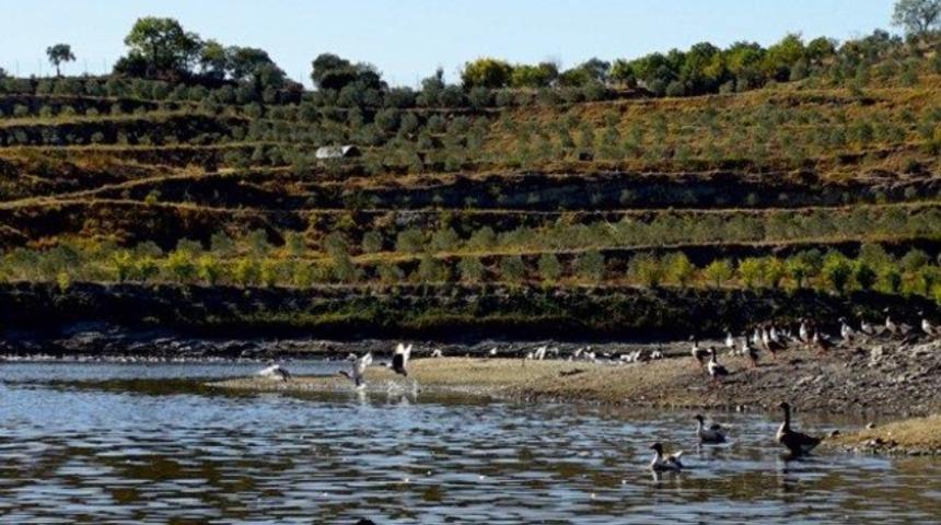 Maden yerine b&ouml;ylesi de oluyormuş