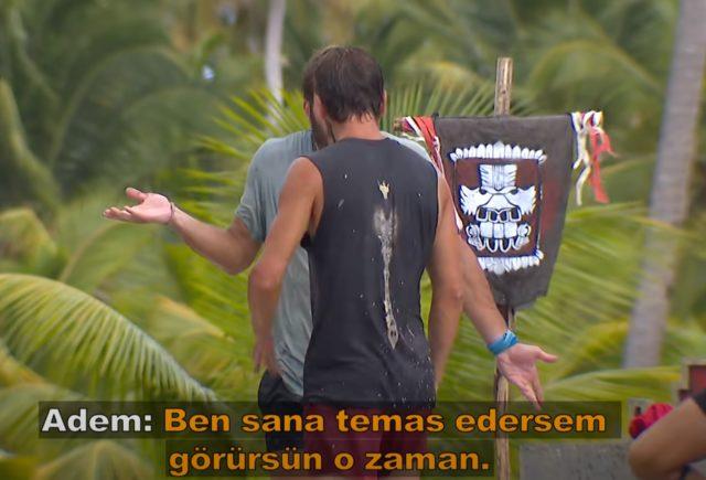 survivor3