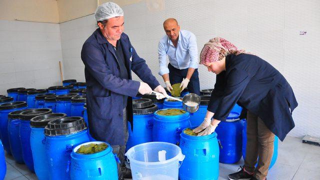 İhracat lideri! 48 milyon dolar gelir edildi