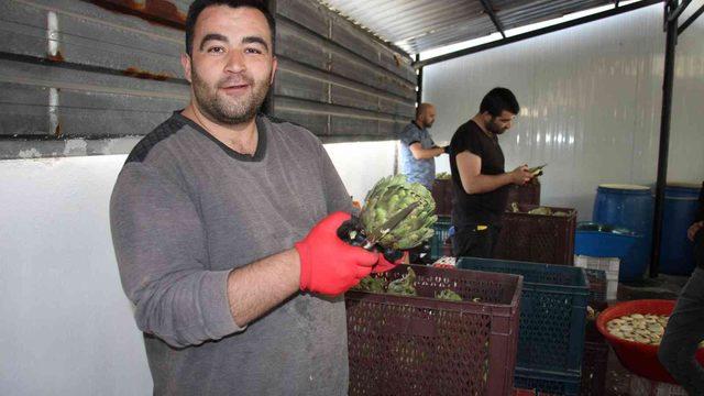 Özel ekip kurdular! Bu iş aylık  30 bin TL kazandırıyor