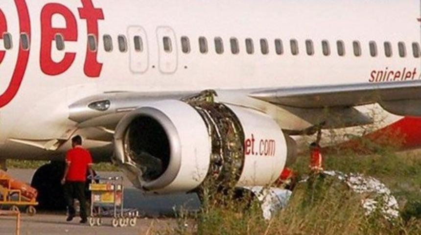 Hindistan'da uçak sığıra çarptı