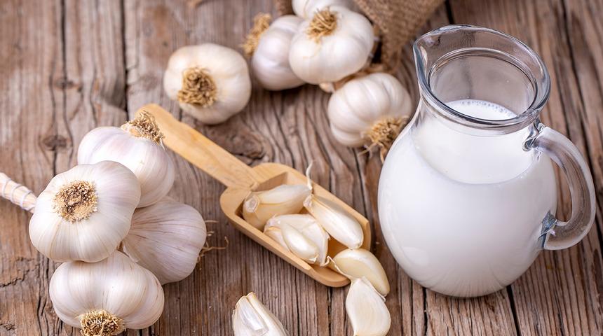 Asla içmem demeyin! Sarımsak sütünün faydalarını duyunca…