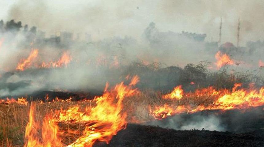 Orman yangınlarını önlemek için uyarılar başladı! Yapan yandı, cezası 155 bin lira