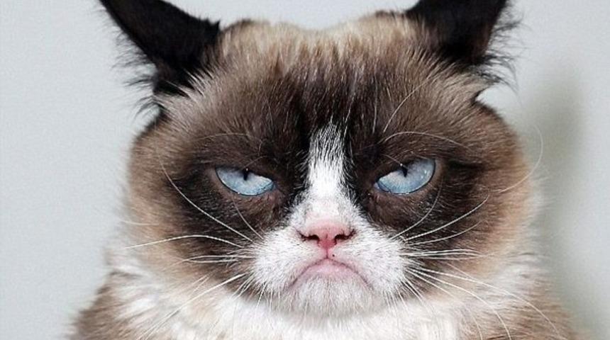 Sahibini zengin etti