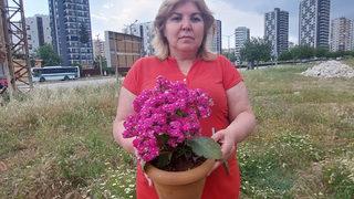 Dünya Kadınlar Günü'nde çiçek aldı! Hayatının şokunu yaşadı: 95 bin dolar...