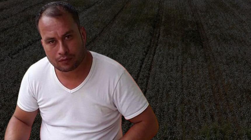 Komşusu tarlada ölü köpek buldu! Sonrasında dehşet saçtı