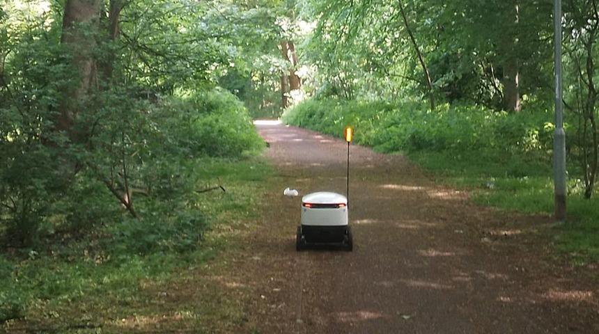 Ormanda bisiklet sürerken keşfetti! Çektiği fotoğraf sosyal medyada olay yarattı