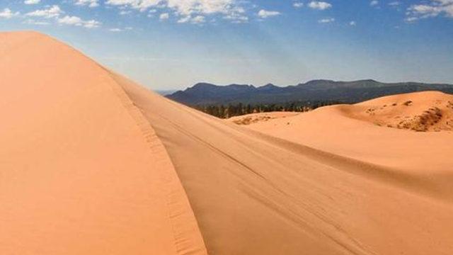 Trajik ölüm: Zavallı çocuk farkında olmadan kendi mezarını kazmış!
