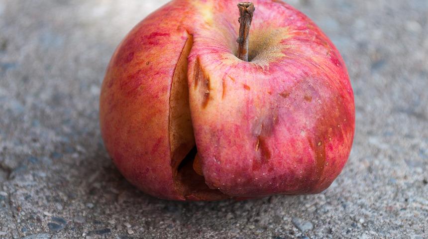 Sebze ve meyveleriniz çabuk mu bozuluyor? Nedeni yanlış saklamanız olabilir 